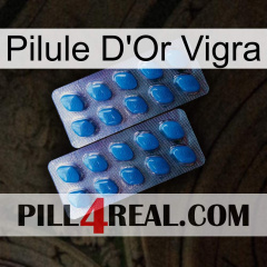 Vigra Gold Pill viagra2